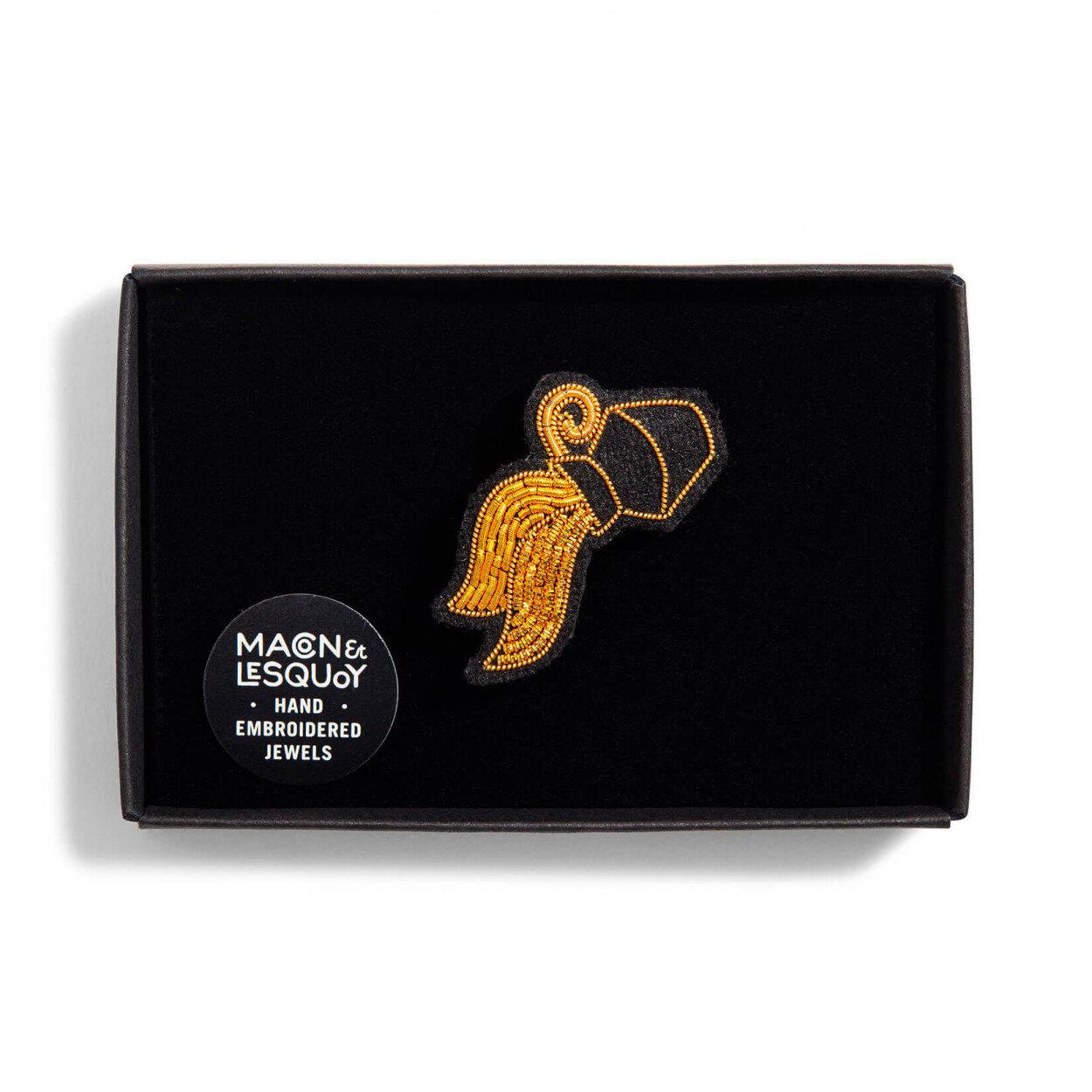 Broche Verseau